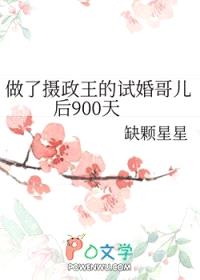 做了摄政王的试婚哥儿后900天